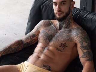 Webcam SefanWolf